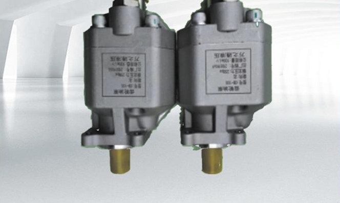 Gear pump with cast-iron body